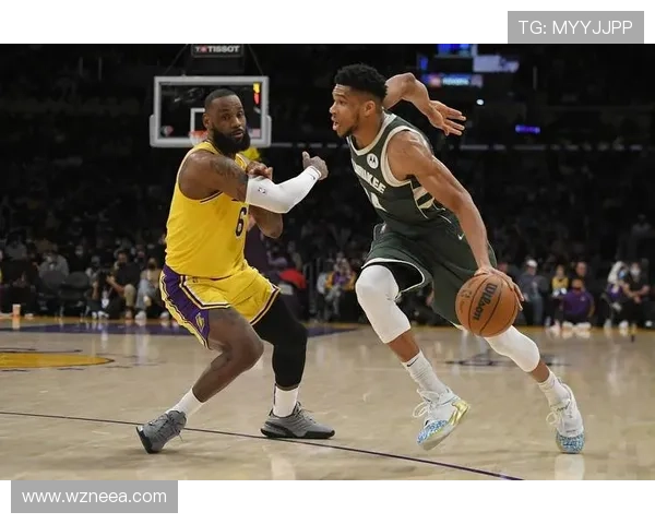 NBA最新动态：詹姆斯重返湖人训练场，浓眉哥和威少表现亮眼备战新赛季
