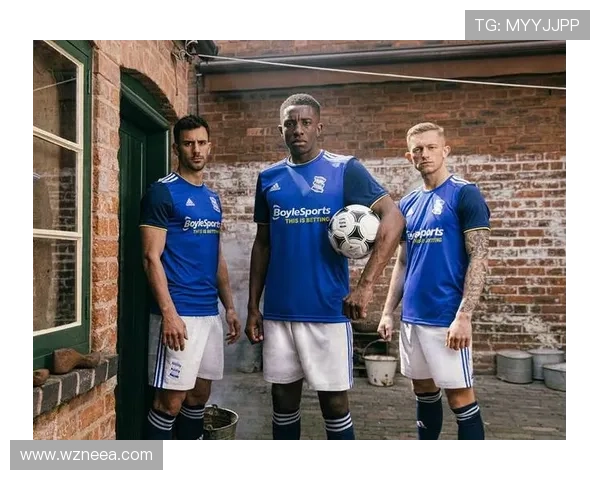 伯明翰俱乐部发展历程与未来展望分析