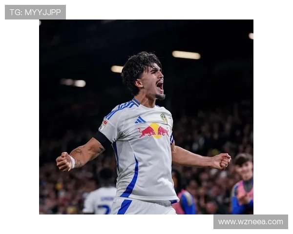 桑德兰俱乐部宣布签约新援目标提升阵容实力 全力冲击英冠前六名