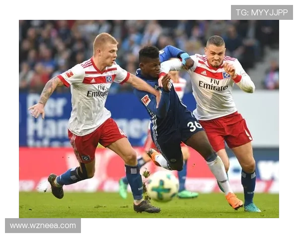 汉堡俱乐部官宣球队新赛季阵容调整全力冲击德甲升级目标