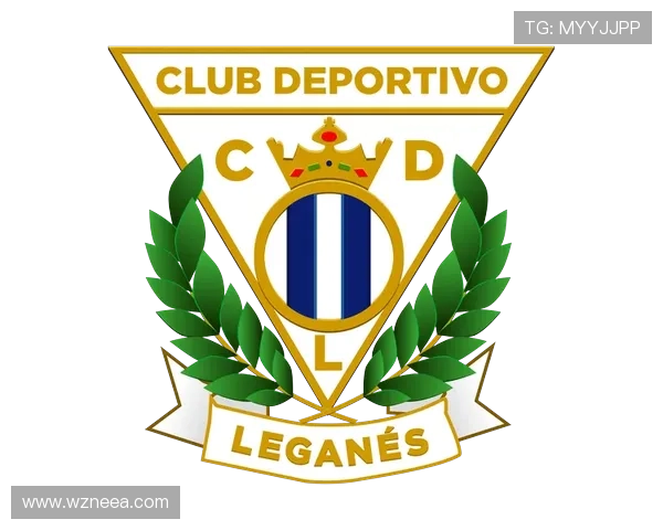 西班牙足球甲级联赛的历史与发展趋势分析及未来展望