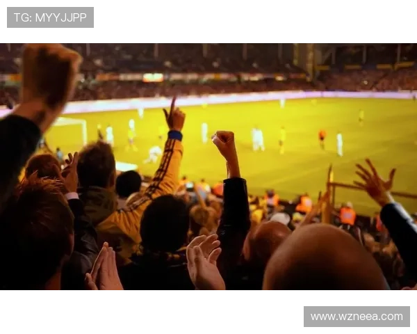 国家队逆转夺冠引爆全场球迷激情欢呼点燃赛季高潮时刻壮观战局展