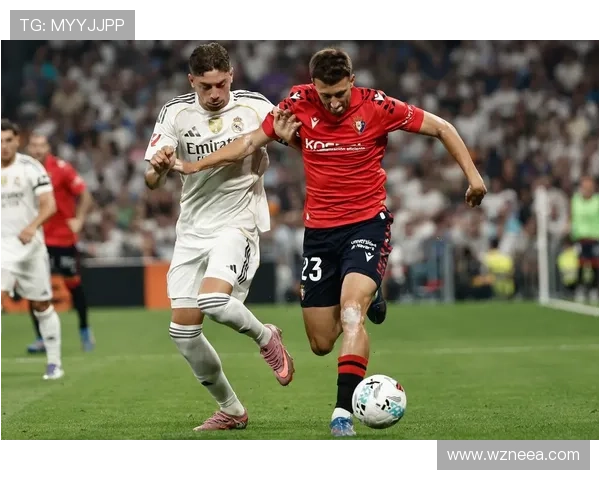 从纳瓦拉骄傲到西甲坚守者奥萨苏纳俱乐部的百年精神与奋斗史