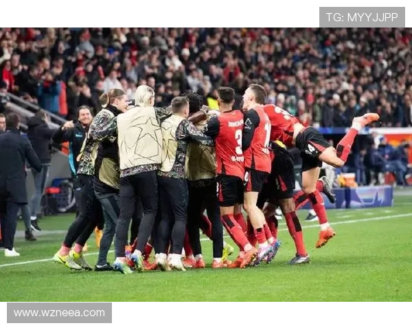 拜耳勒沃库森新赛季全面发力冲击德甲与欧战新高度球队建设稳步推进